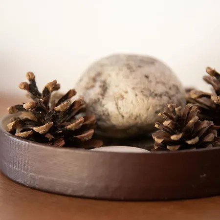 Porthos 37 By Interhome * ヴェルビエール