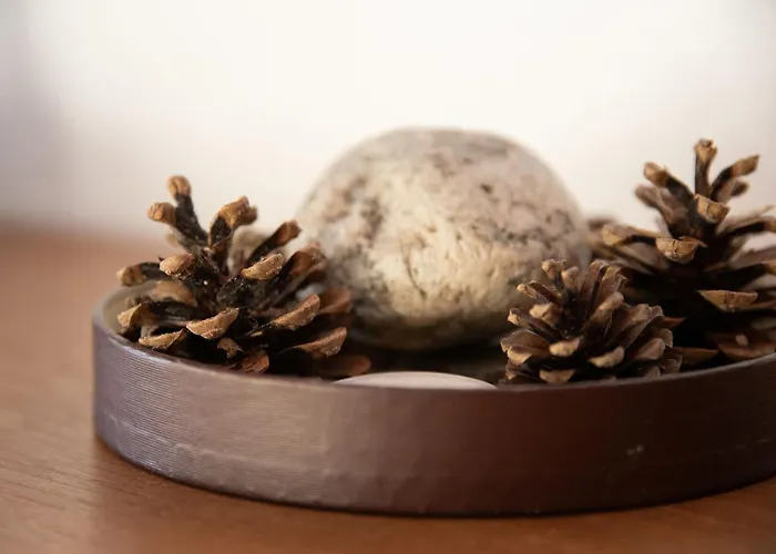 Porthos 13 * Verbier